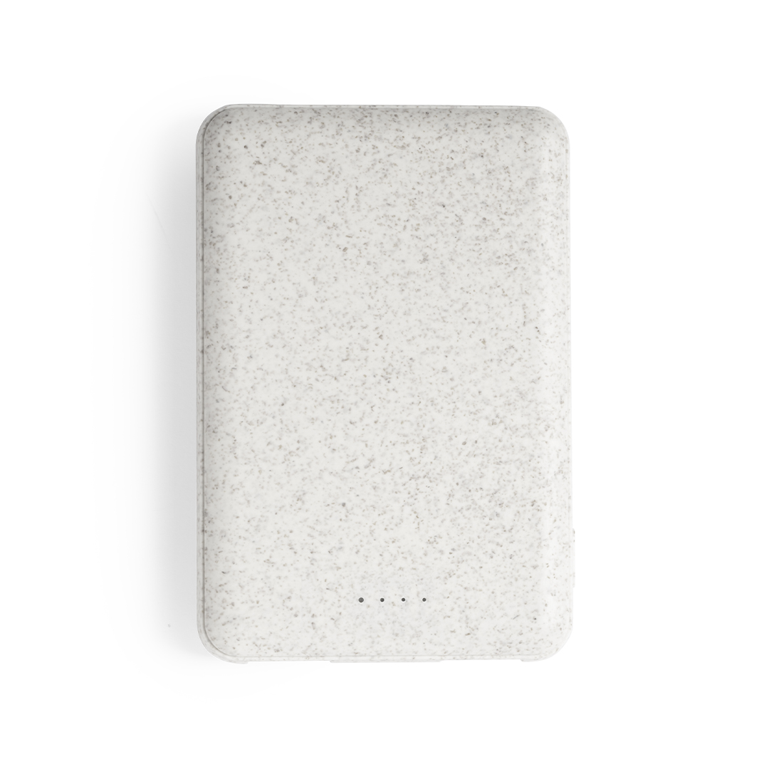 ShidenPower Bank
