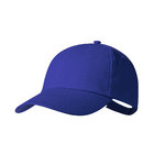 HaliardCap