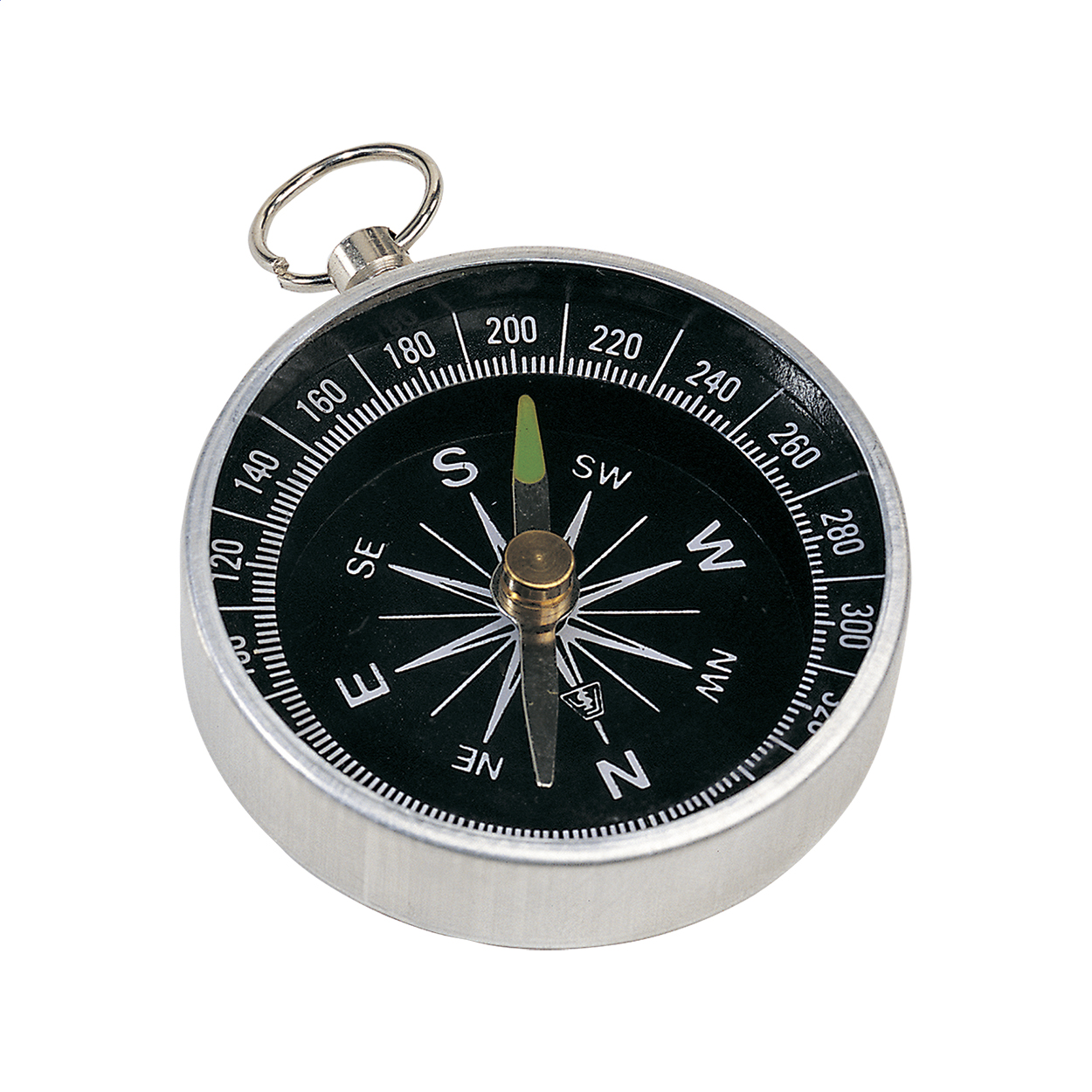Nansen compass