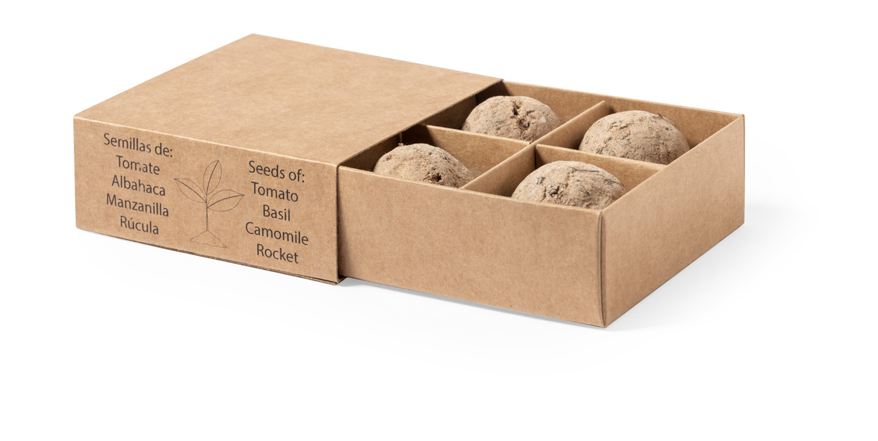 Solmi herb growing kit