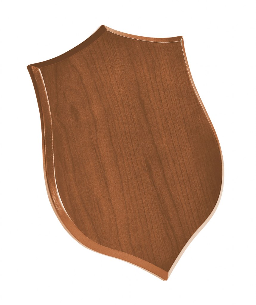 PLAQUE LIGHT-COLORED 190X260X15 MM