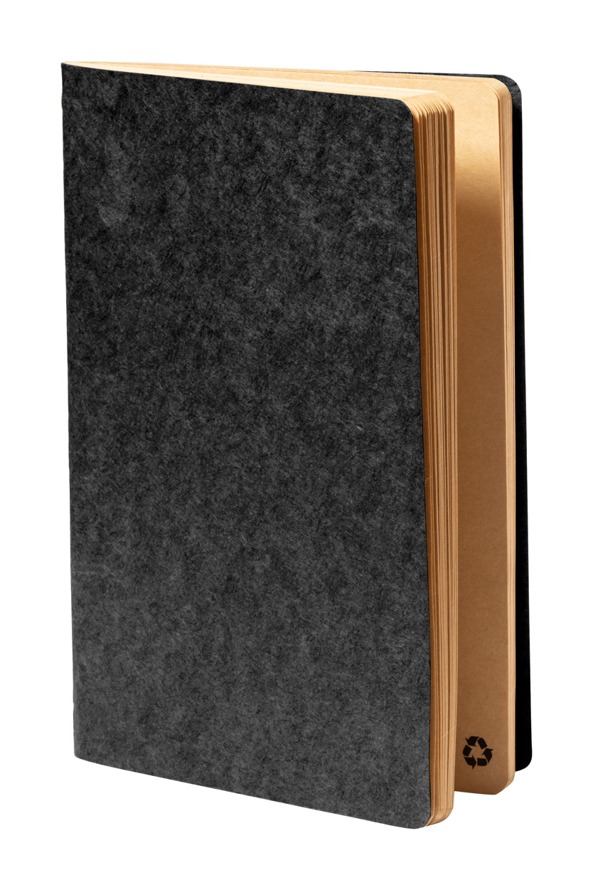 Rayish notebook