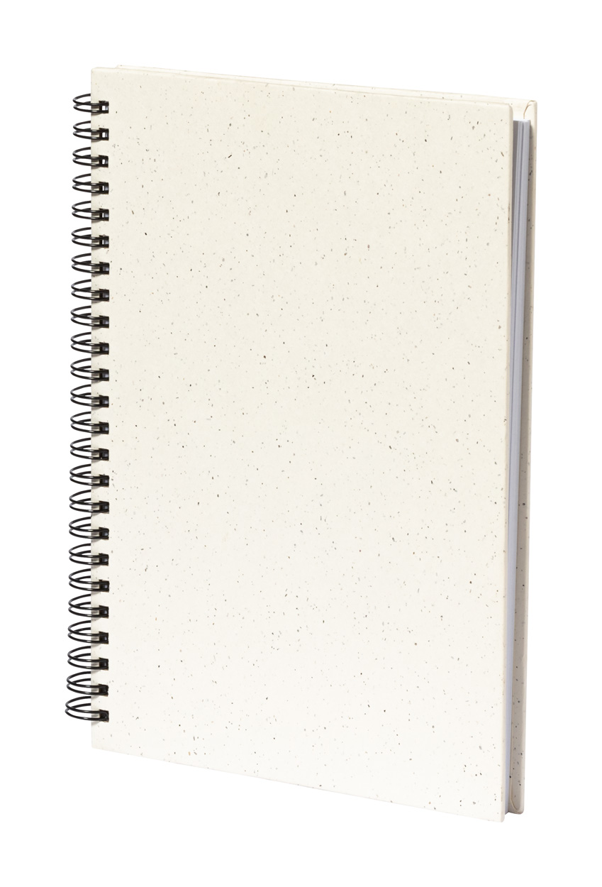 Hantiz notebook