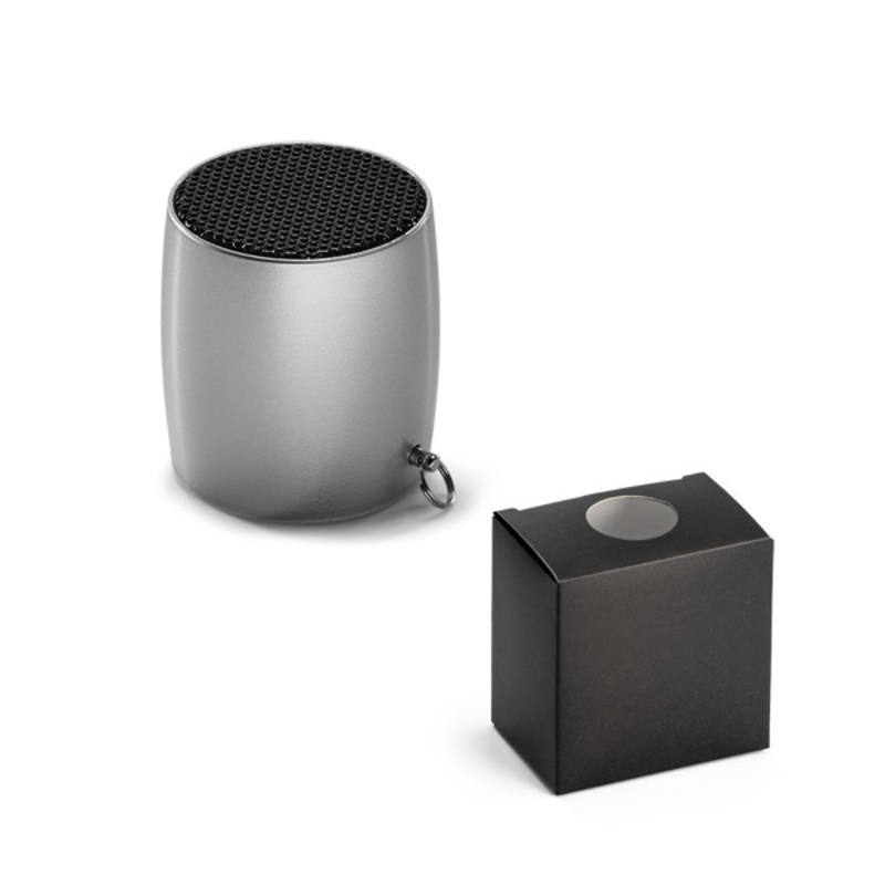 Mini speaker with microphone