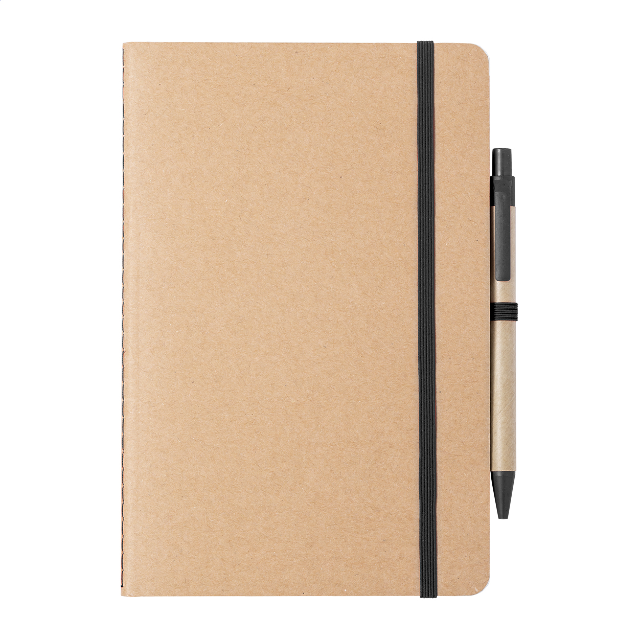 Ginkgo notebook
