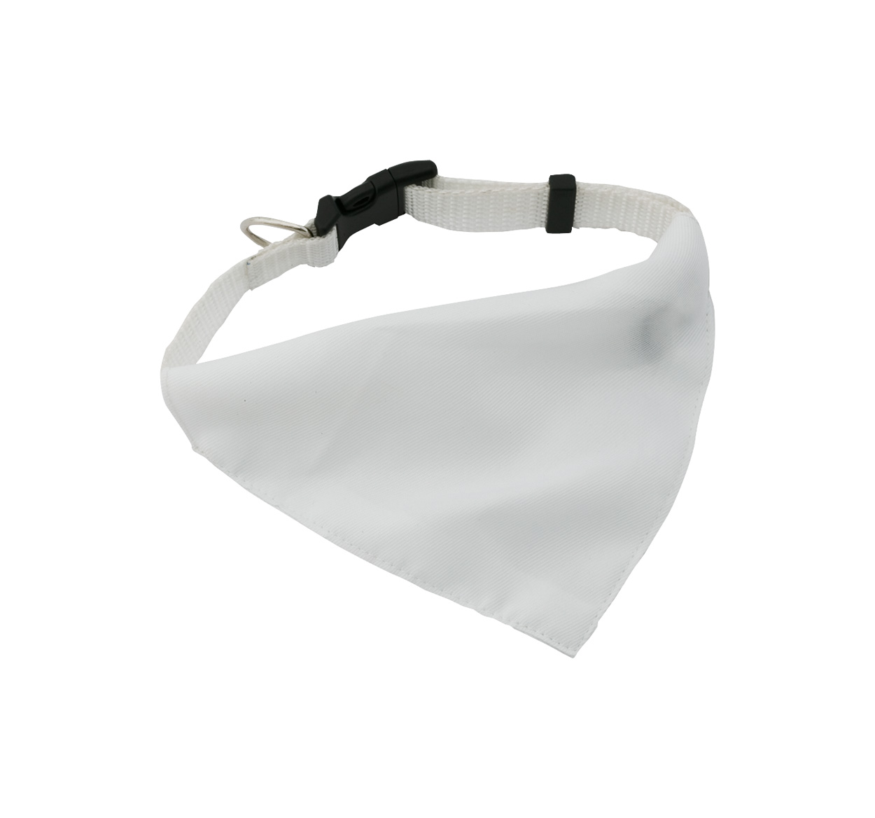 Rex dog's collar