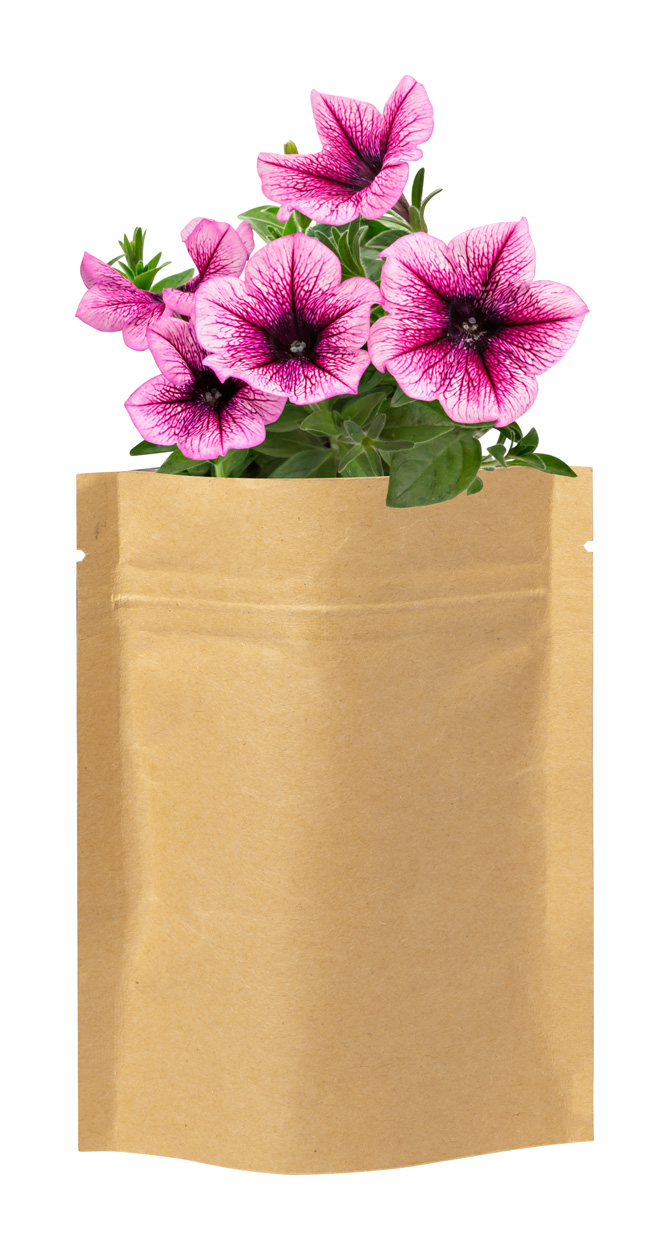 Sober flower planting kit