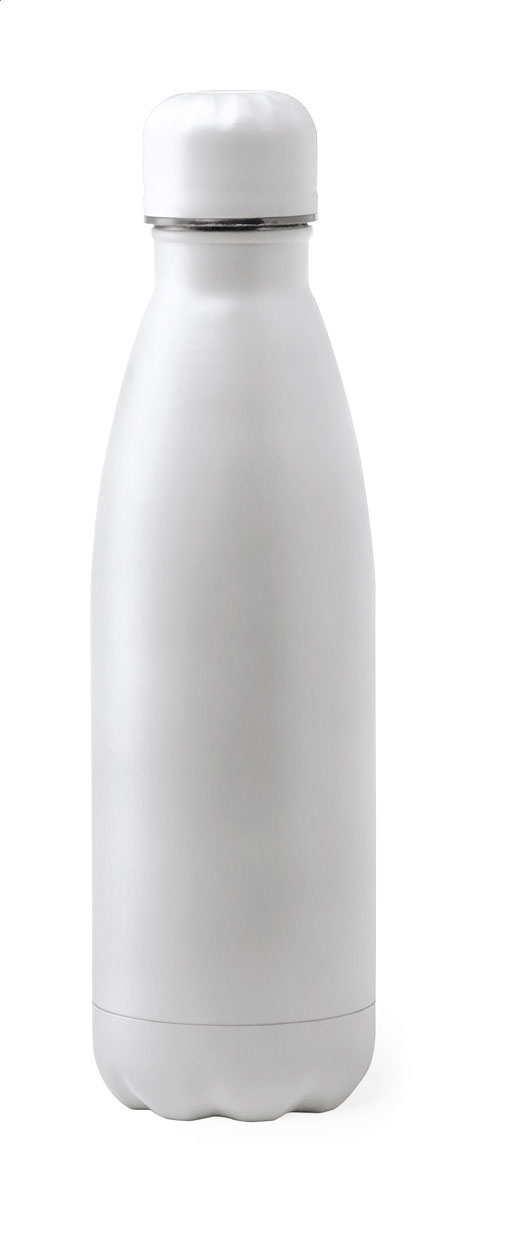 Toppen stainless steel bottle